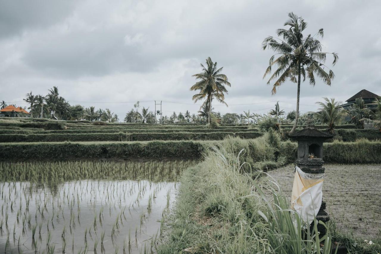 The Ning Resort Ubud Kültér fotó