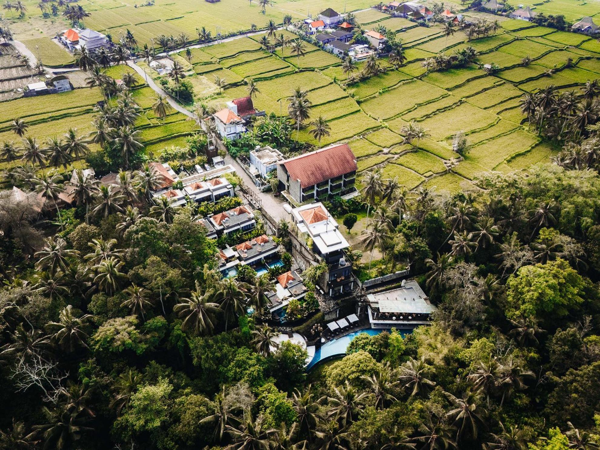 The Ning Resort Ubud Kültér fotó